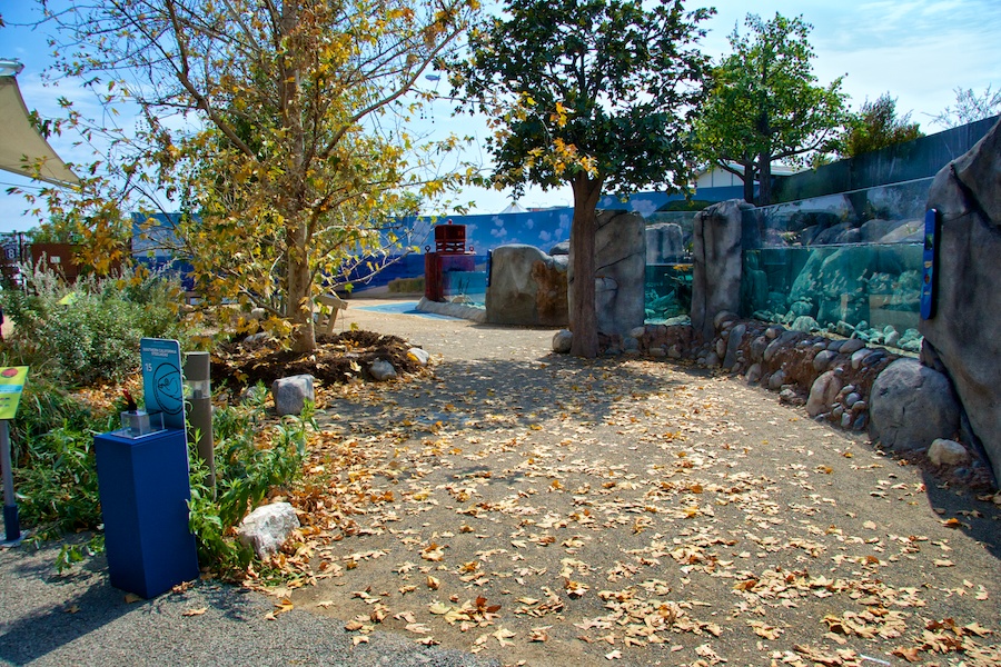 Empty shot of steelhead exhibit