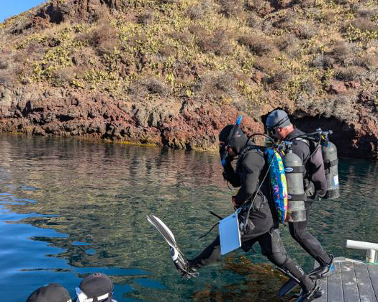 Two divers taking a step into the water off a dock